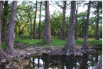 stacks_image_88AE4BB4-3ACD-4CE7-9D33-DB8632957A62